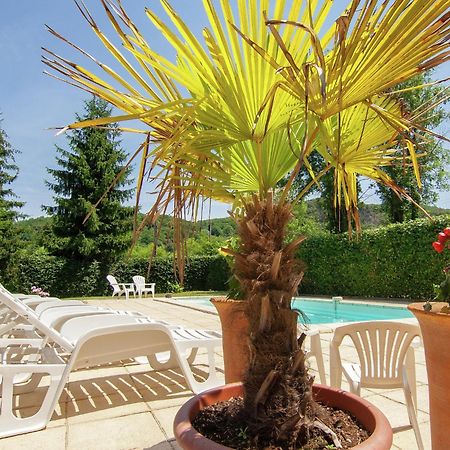 Appealing Apartment In Vezac With Swimming Pool Beynac-et-Cazenac Exteriör bild