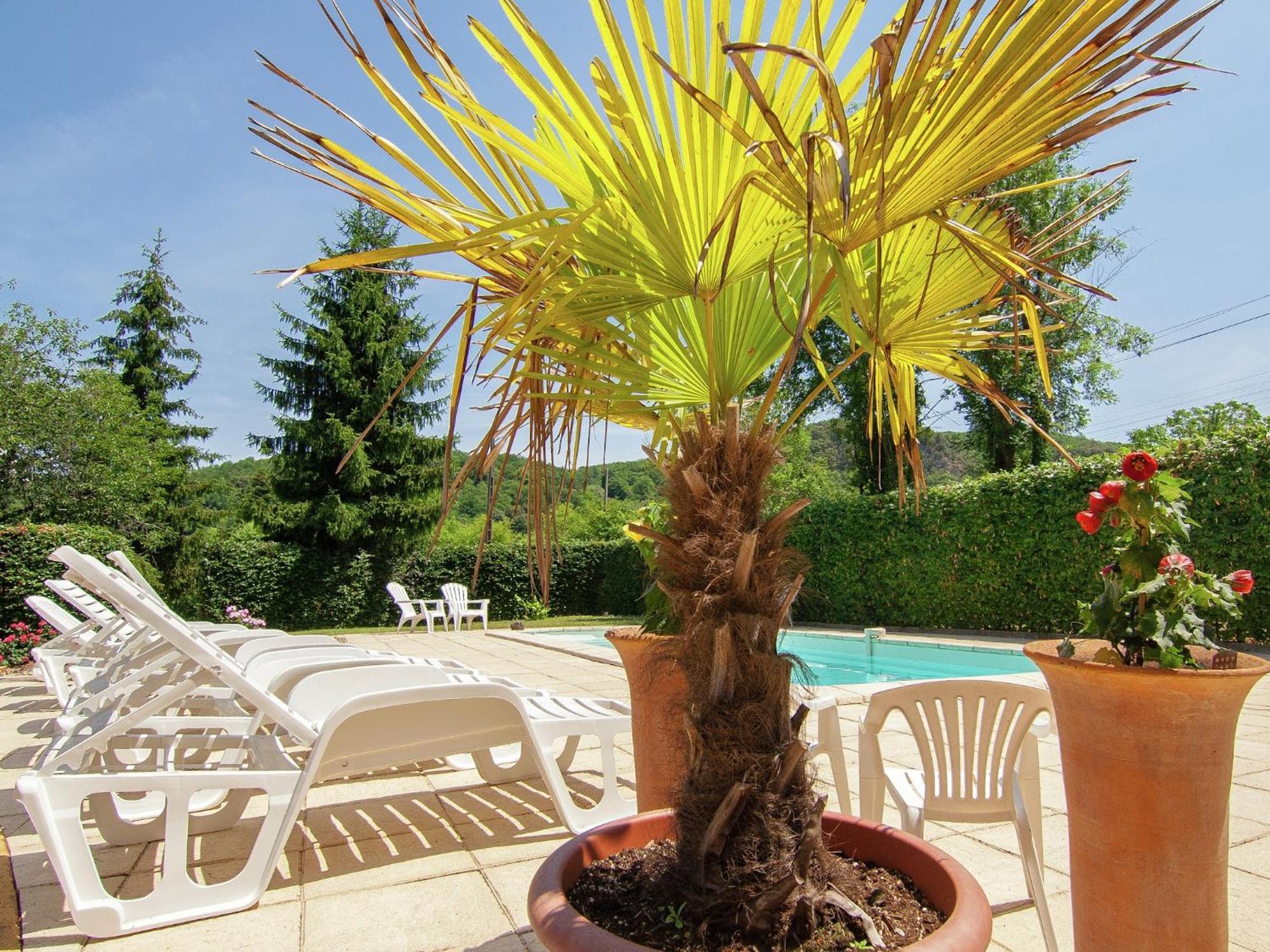 Appealing Apartment In Vezac With Swimming Pool Beynac-et-Cazenac Exteriör bild